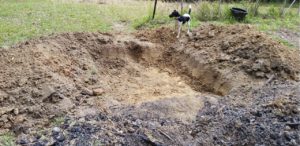 Biochar second pit dug