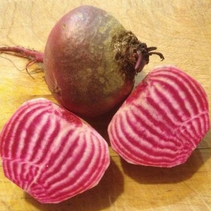 The white and red patterns make candystripe beetroot eye-catching