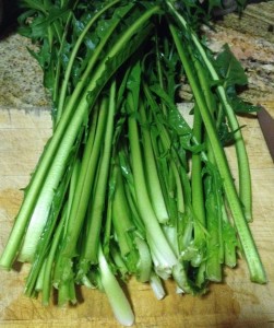 Dandelion chicory is easy to prepare, just wash and chop.