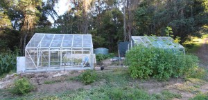 midlevels greenhouse