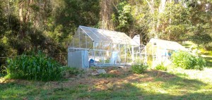 kitchen garden greenhouses
