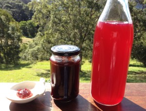 rosella jam and cordial