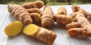 growing turmeric at home gives you an abundant supply of this handy spice