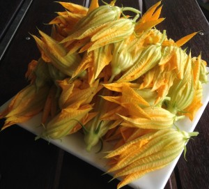 zucchini flowers are just as useful a vegetable as the fruit.