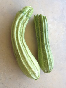 zucchini 'Costa Romanesque'